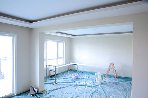 Best Repainting for Renovations  in USA